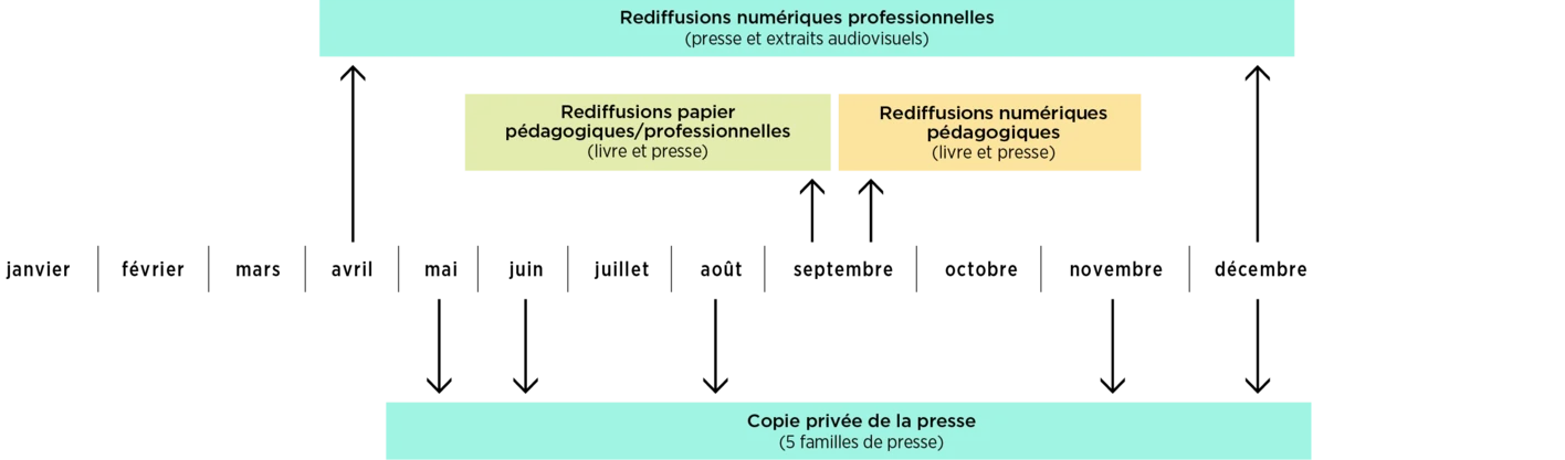 Repart-sept25_frise